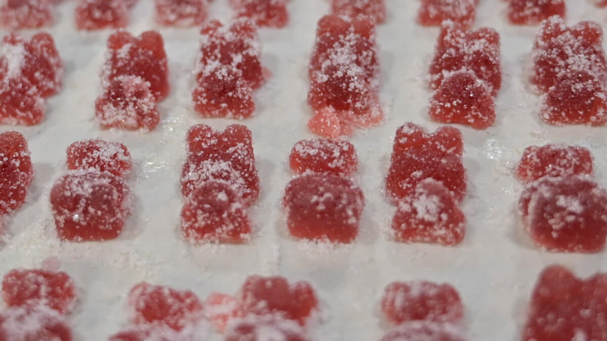 Elderberry gummy bears on a cookie sheet.