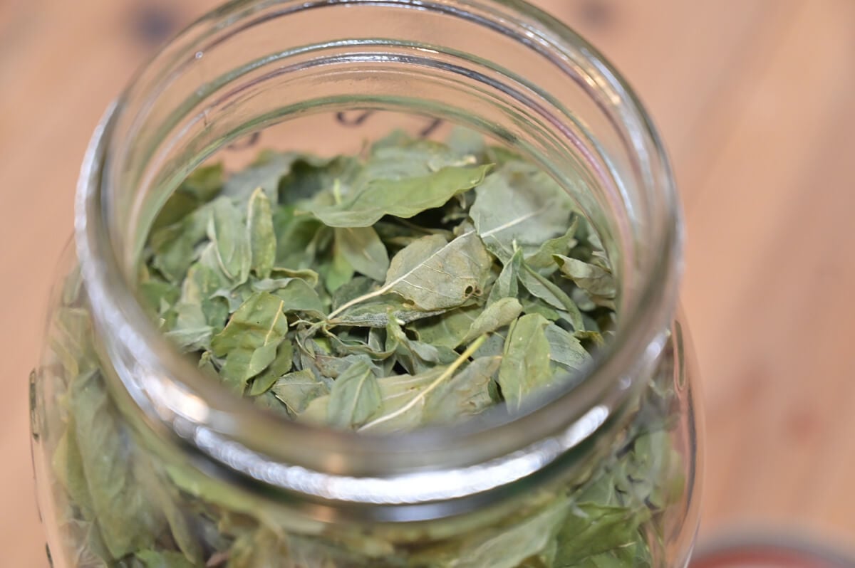 FreezeDrying Herbs — Homesteading Family