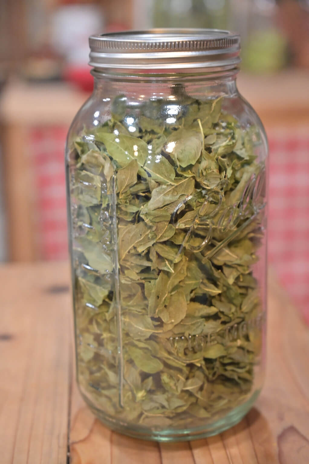 FreezeDrying Herbs — Homesteading Family