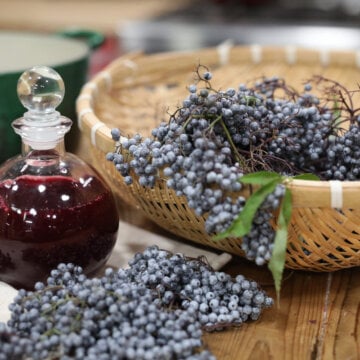 A basket full of fresh elderberries sitting next to a bottle of homemade elderberry syrup.