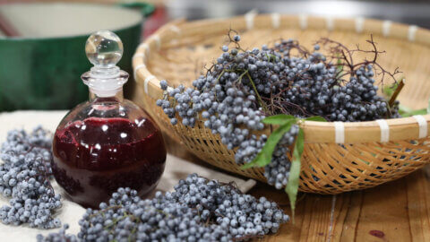 A basket full of fresh elderberries sitting next to a bottle of homemade elderberry syrup.