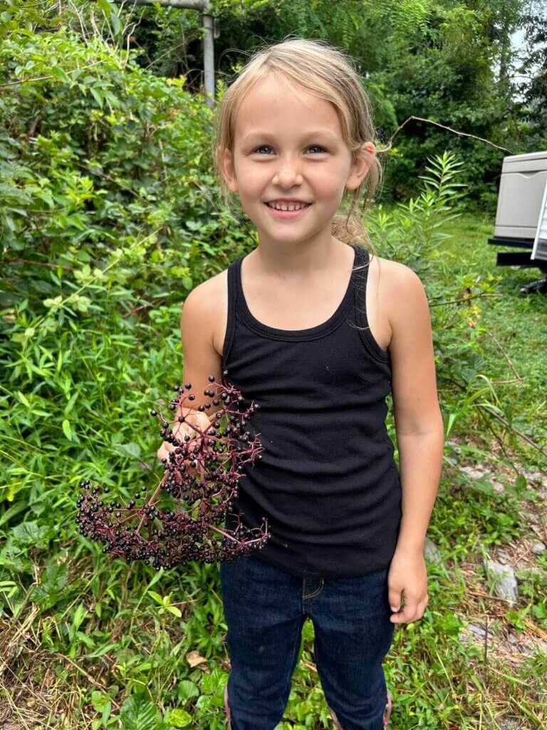 A young girl with a branch of fresh elderberries.