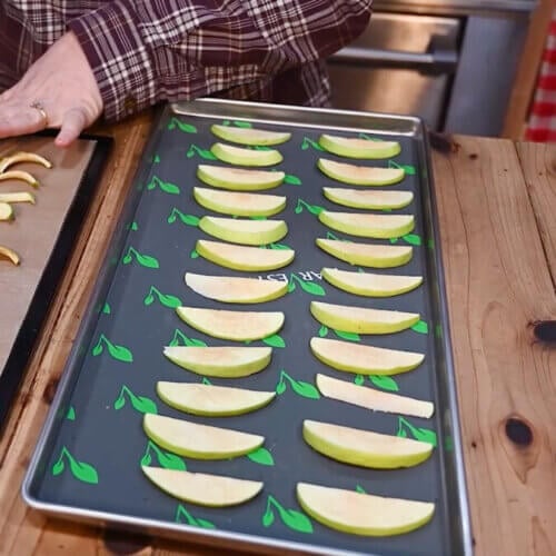 FreezeDried Water (Can It Be Done?) — Homesteading Family