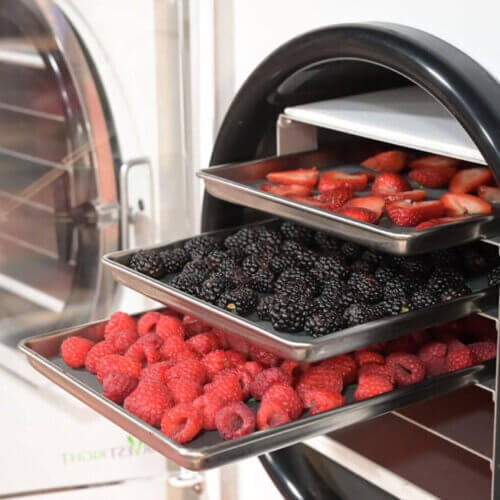 FreezeDried Water (Can It Be Done?) — Homesteading Family