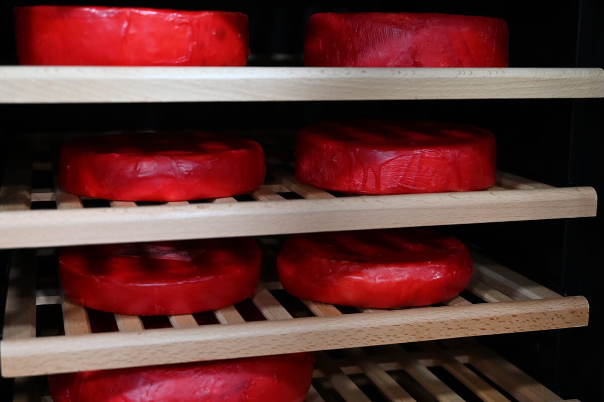 Hard cheeses in a cheese cave.