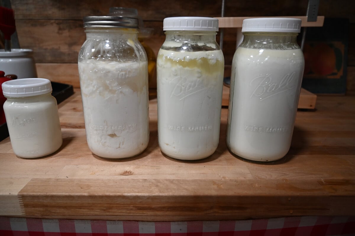 The stages of fresh raw milk to clabbered milk.