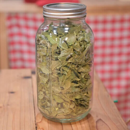 FreezeDried Water (Can It Be Done?) — Homesteading Family