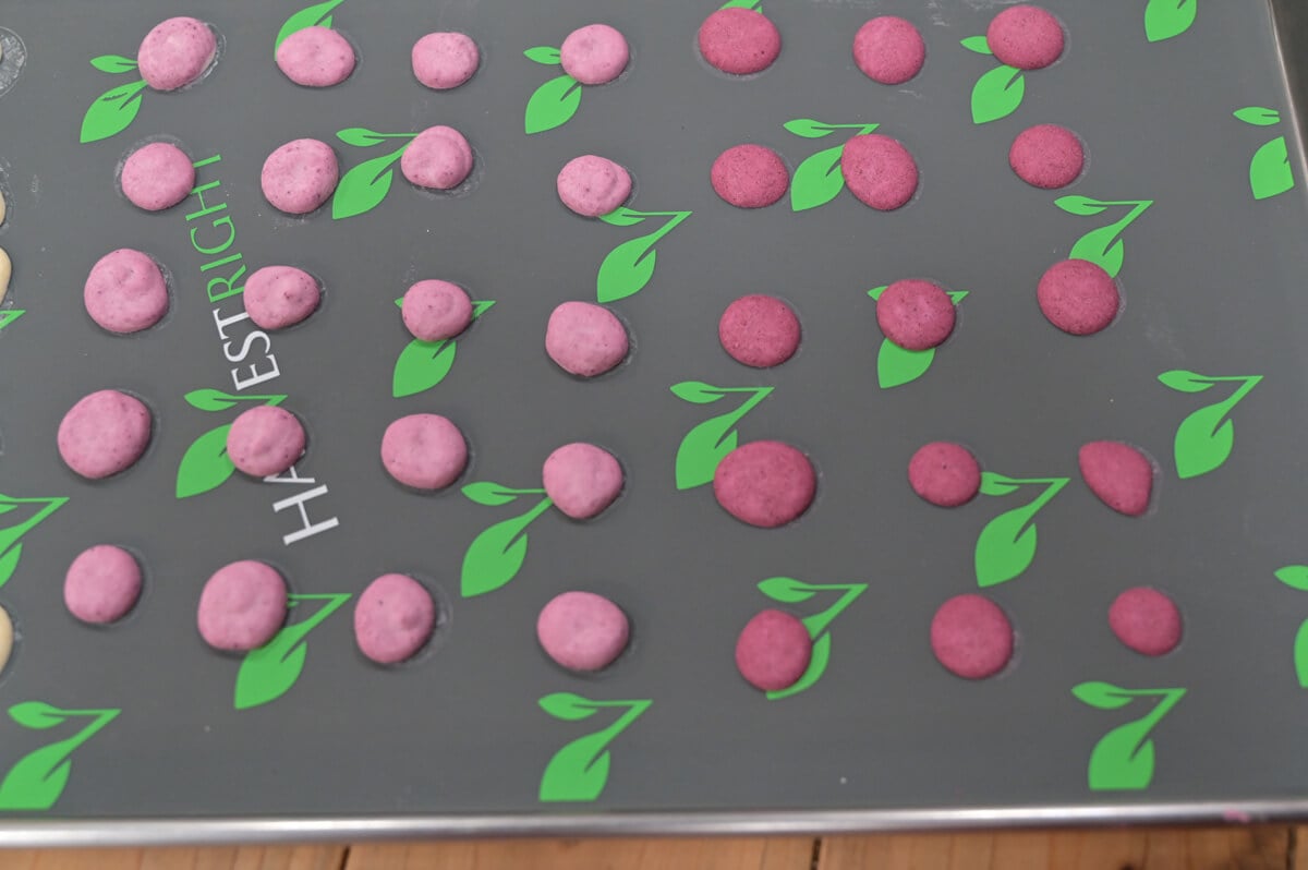 FreezeDried Yogurt Recipe — Homesteading Family