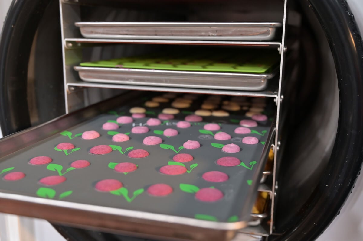 FreezeDried Yogurt Recipe — Homesteading Family