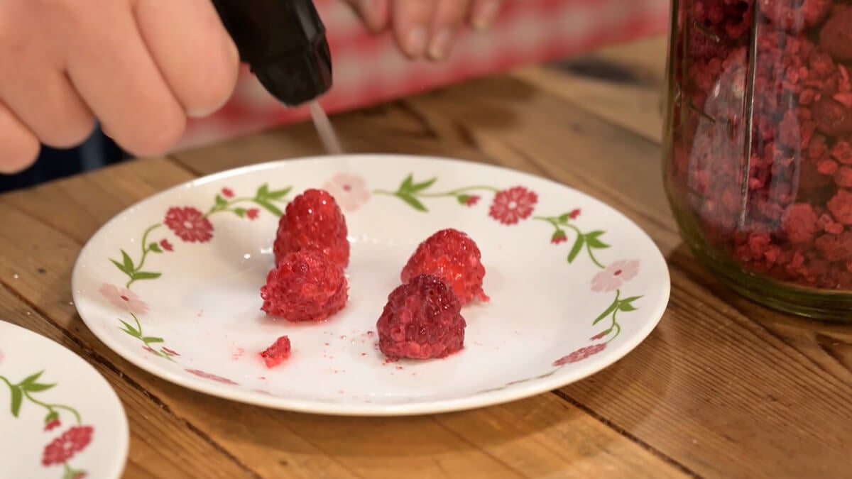 Rehydrating Freeze Dried Foods — Homesteading Family