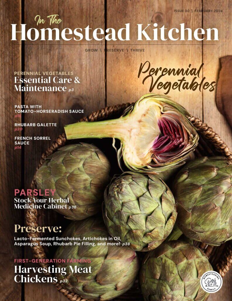 Magazine cover for In the Homestead Kitchen Magazine. Artichokes on the front cover.