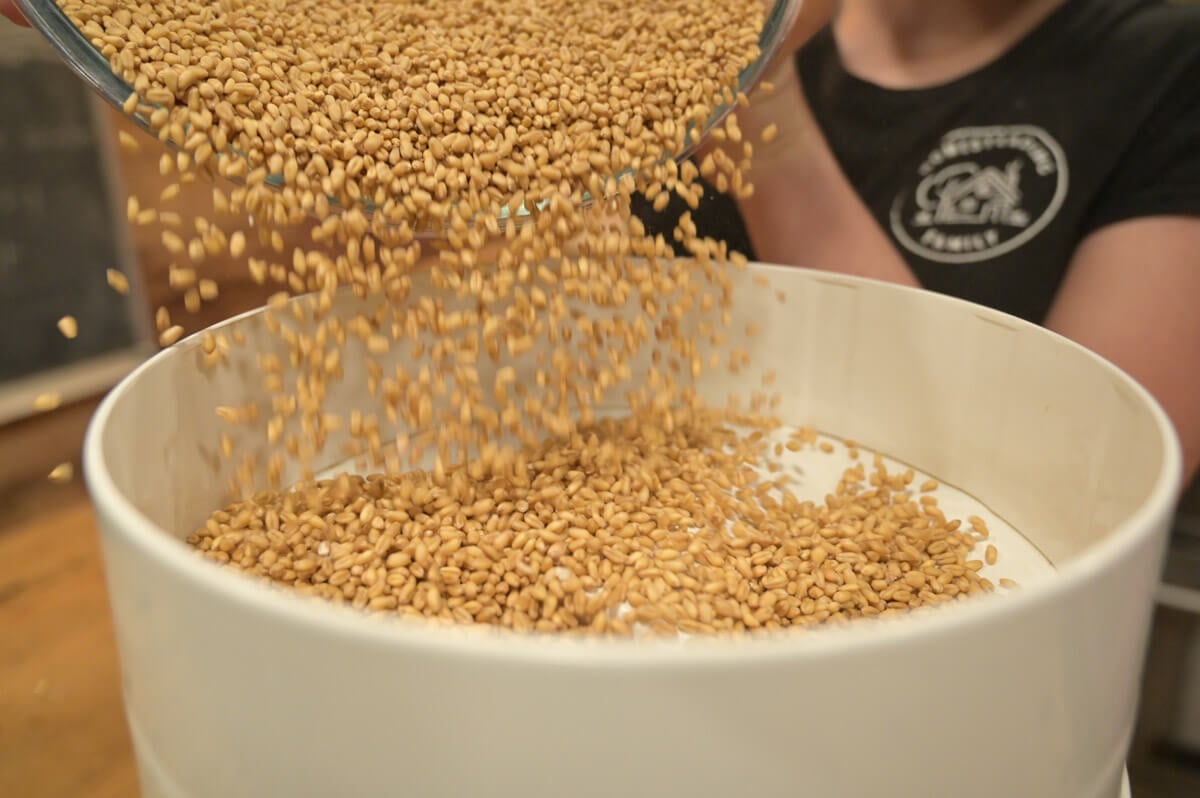 Baking with Freshly Milled Flour (Home Flour Milling) — Homesteading Family