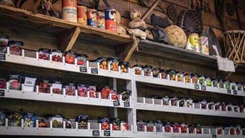 Baker Creek Seed store shelves lined with seed packets.