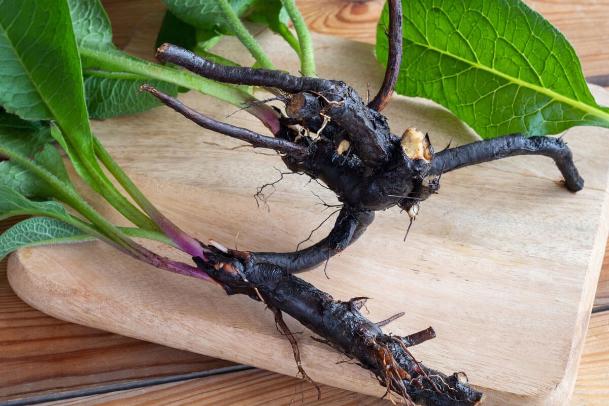 Comfrey root on a wooden cutting board.