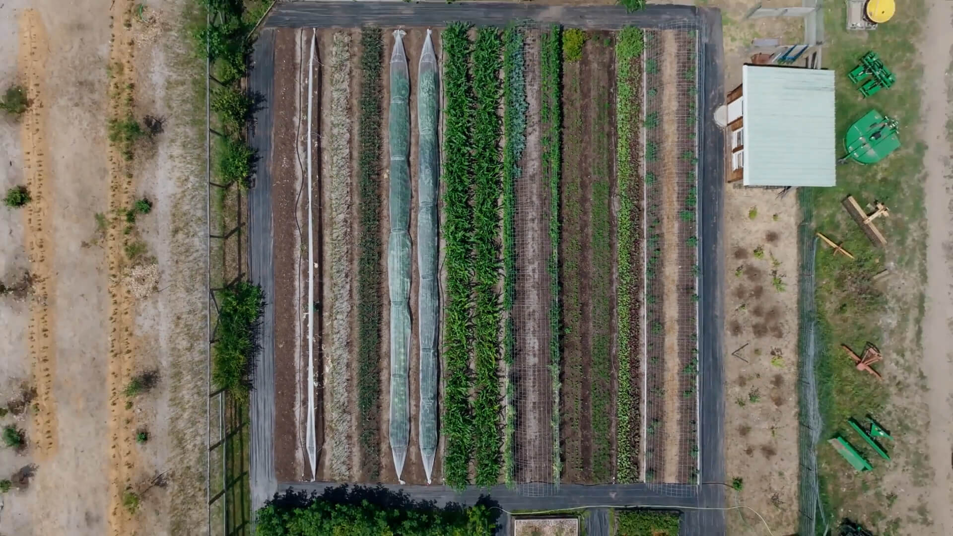 Aerial shot of a vegetable market garden.