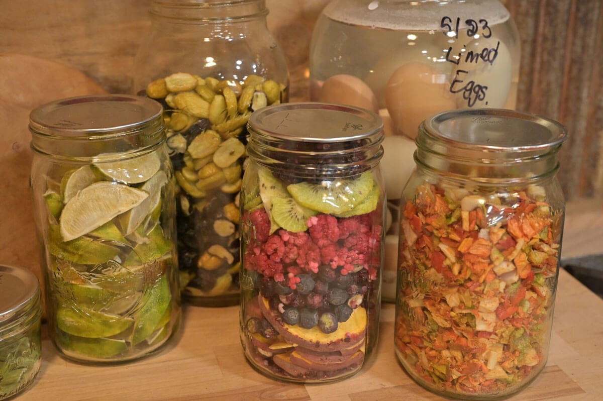 Jars of freeze dried food sitting on a kitchen counter.