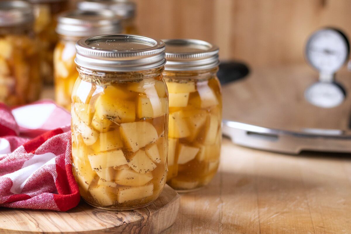Jars filled with potato chunks and broth beside a pressure canner and red checked towel.