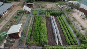 An aerial view of a large garden.