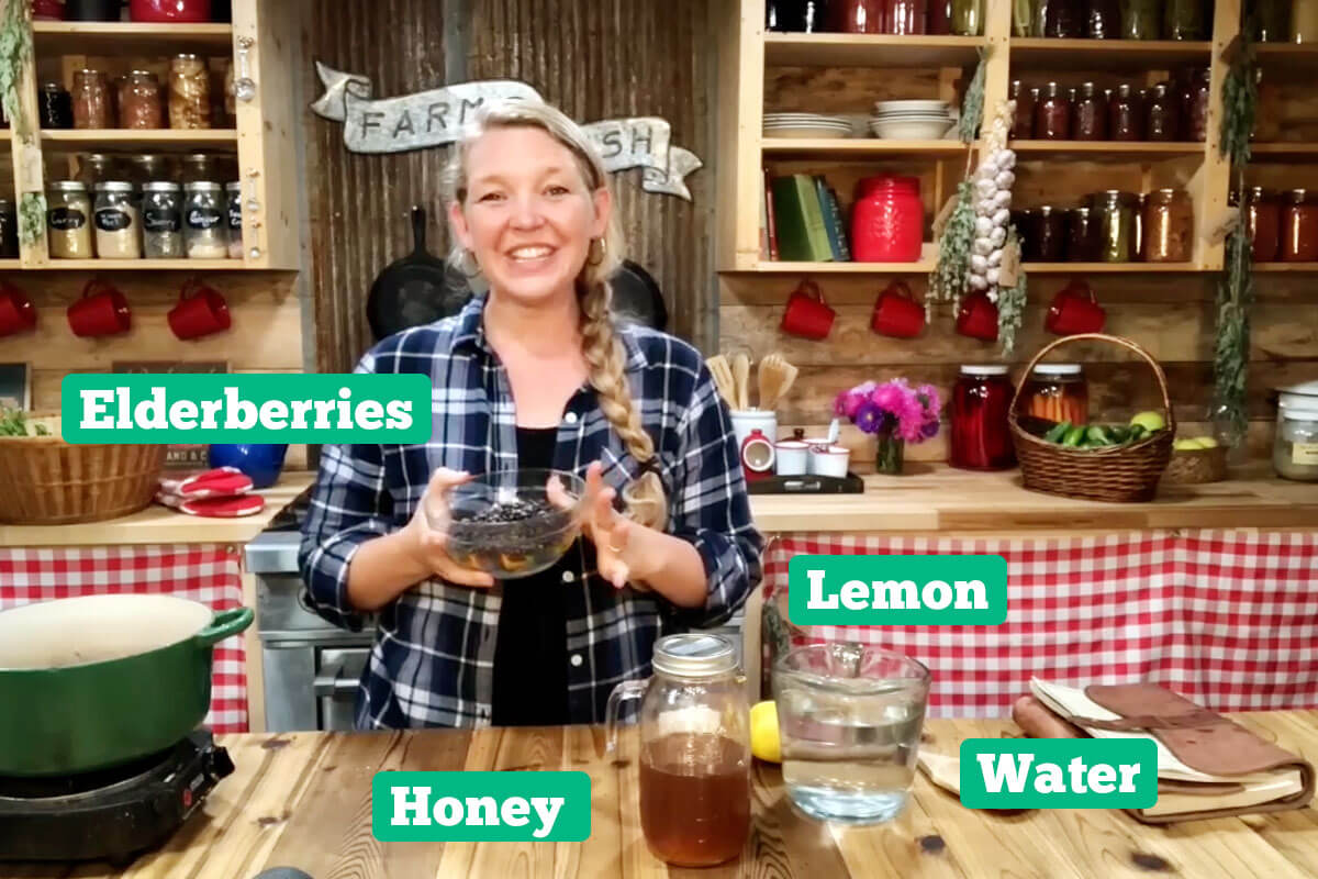 Homemade elderberry syrup ingredients: elderberries, lemon, honey, and water.