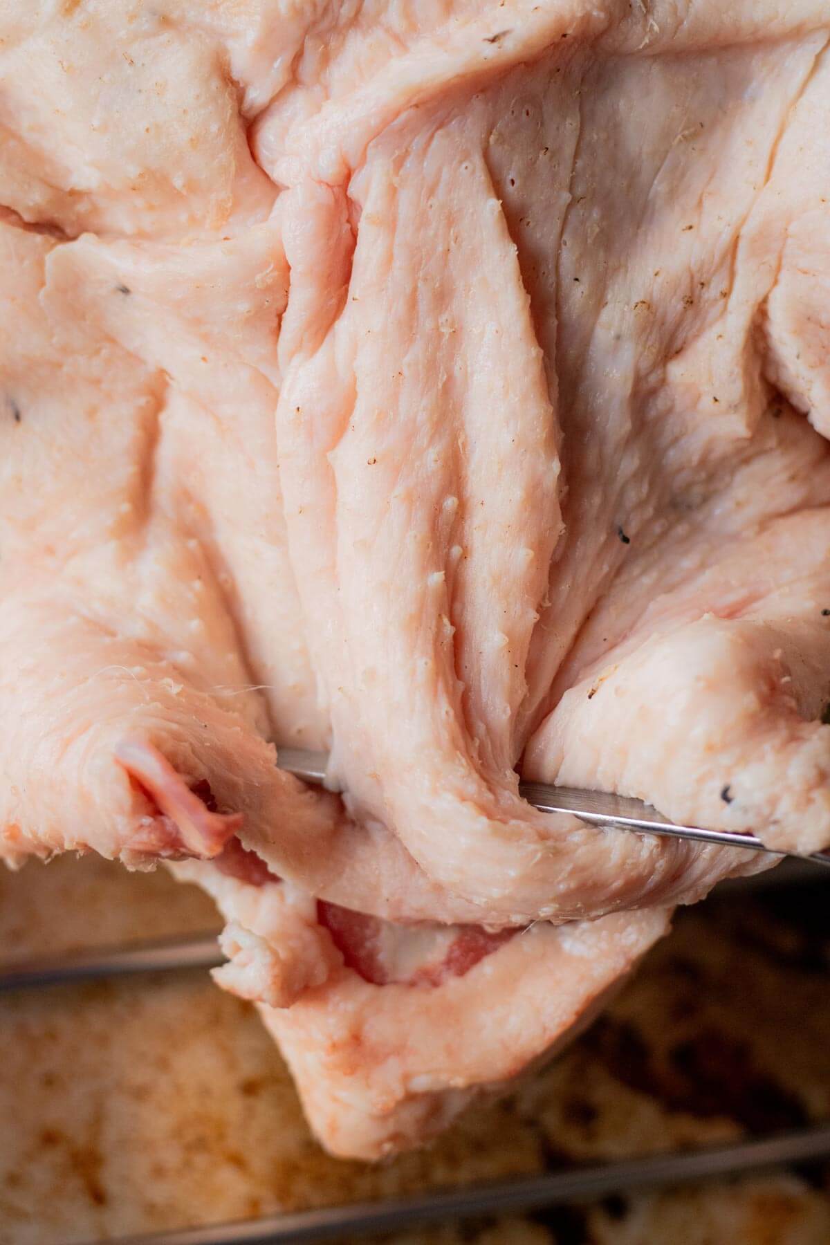 Skewer holding goose skin in place.