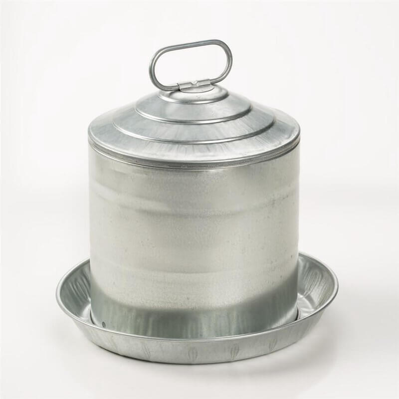 Galvanized chicken waterer.
