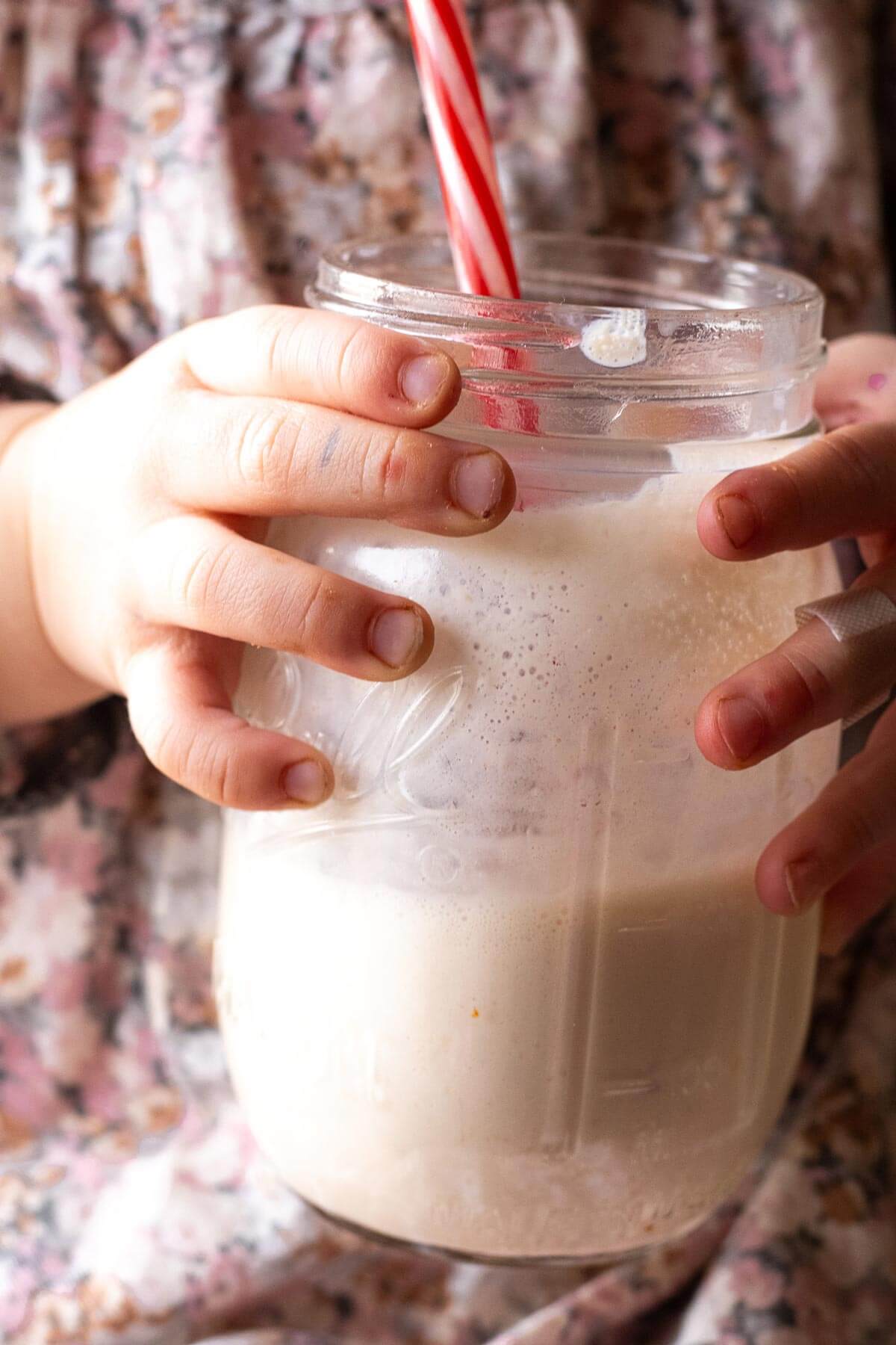Homemade Kefir Recipe-image