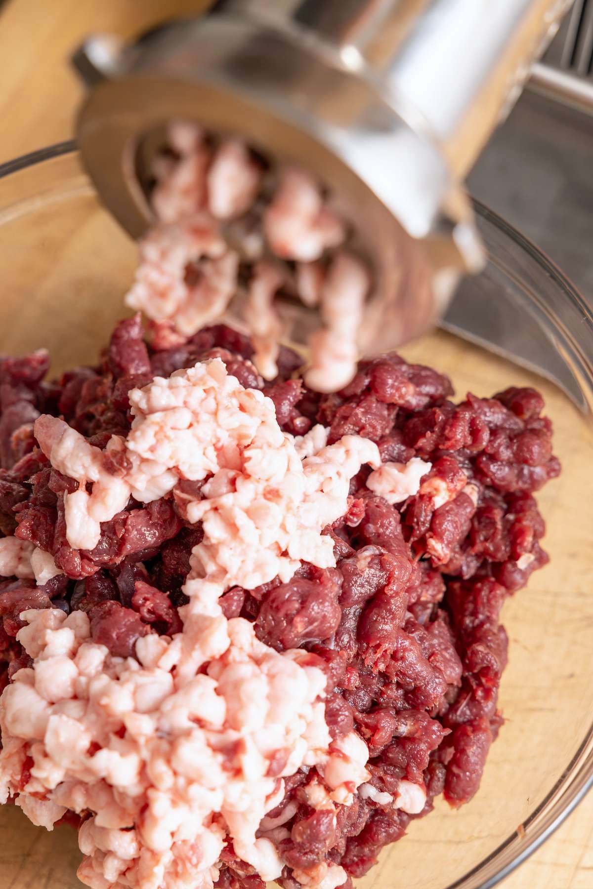 Wild game meat and pork fat passing through a meat grinder into a bowl.