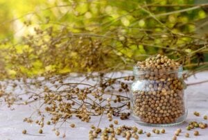 Dried cilantro (coriander) seed.
