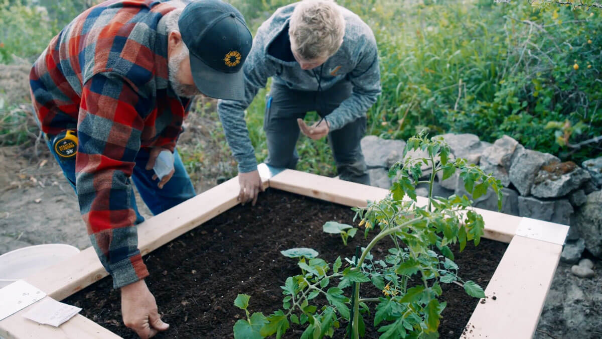 A father and son planting a raised garden bed.