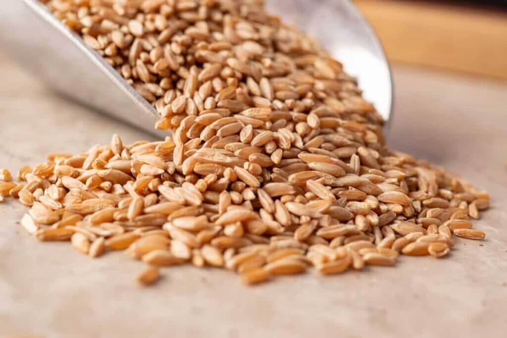 Close up of ancient grains.