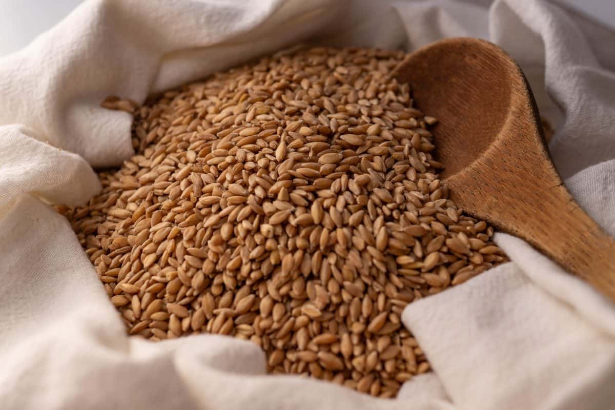 Whole grains with a wooden spoon.
