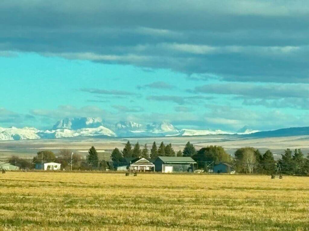 Large fields of grain with a house and mountains.