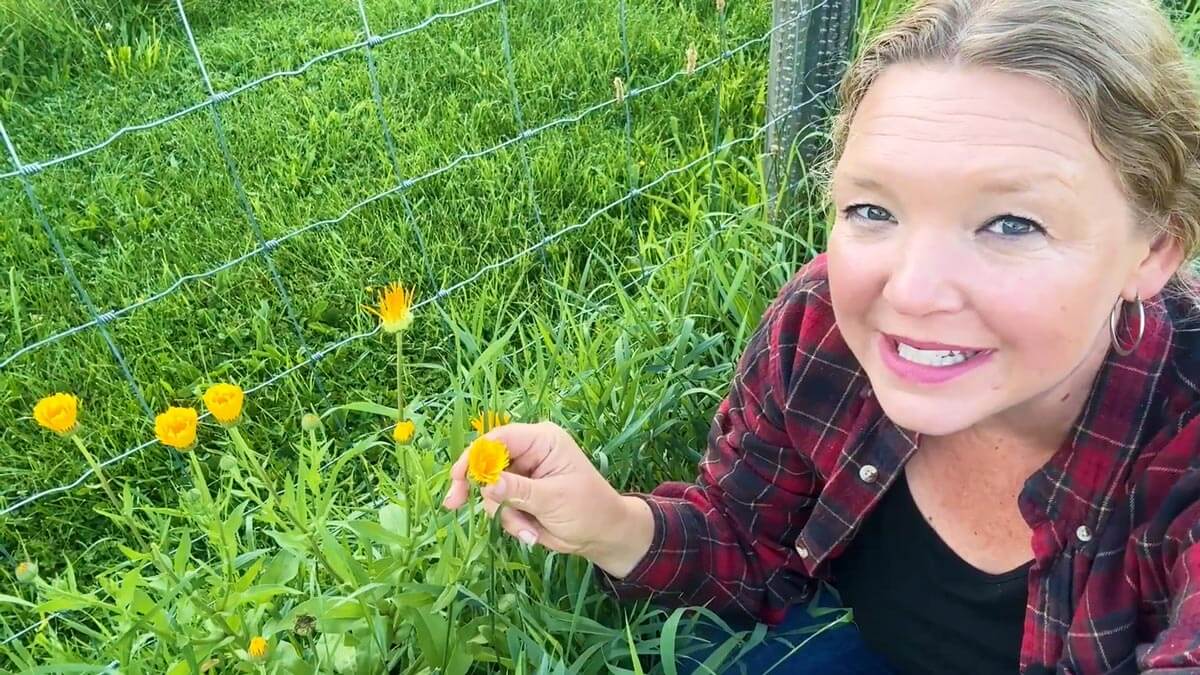 A woman crouching next to calendula flowers.