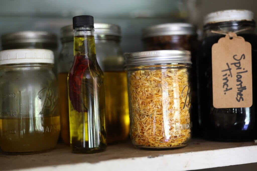 A shelf full of medicinal herbal remedies.