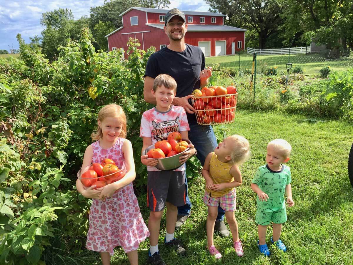 A family harvesting tomatoes from the garden.