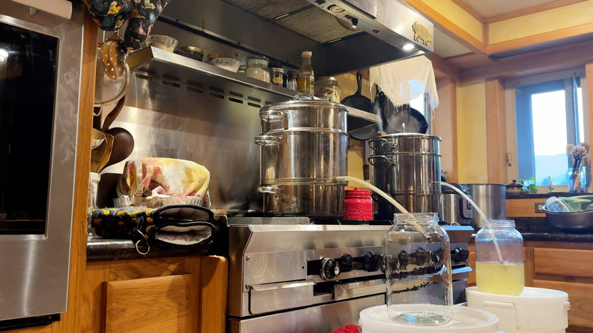 A steam juicer extracting apple cider.