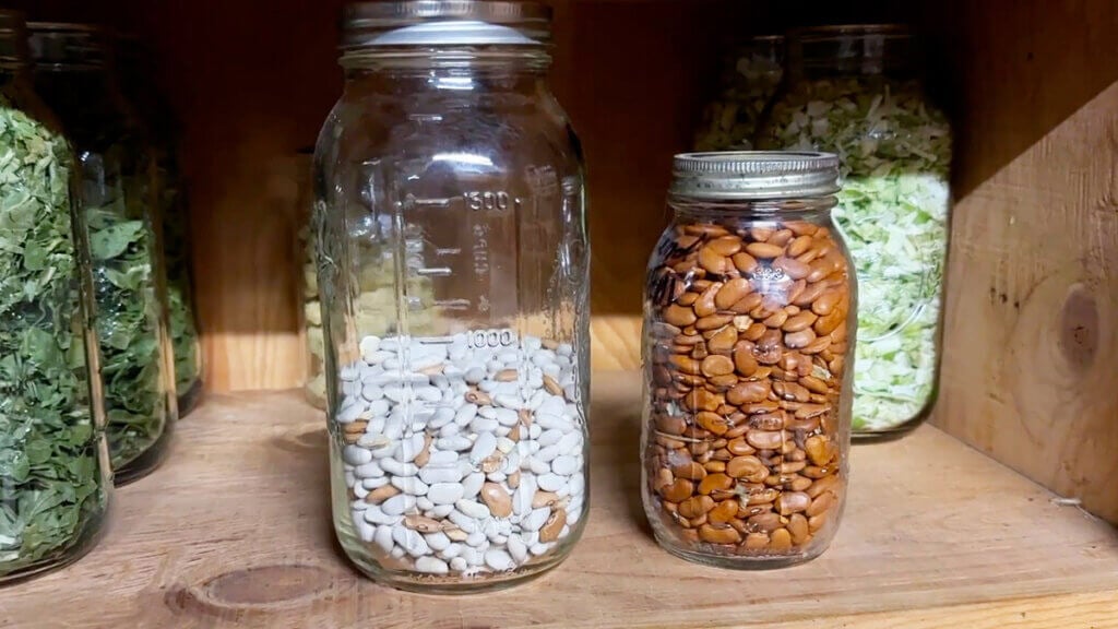 Bean seeds in Mason jars.