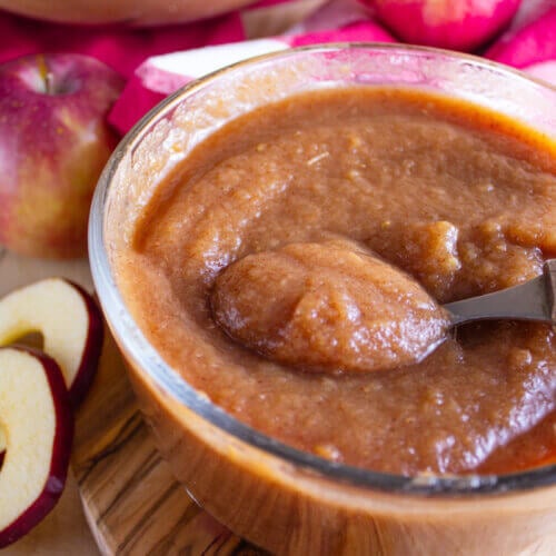 A spoon lifting a bite of applesauce from a bowl.