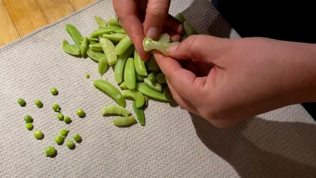 A woman's hands shelling peas.