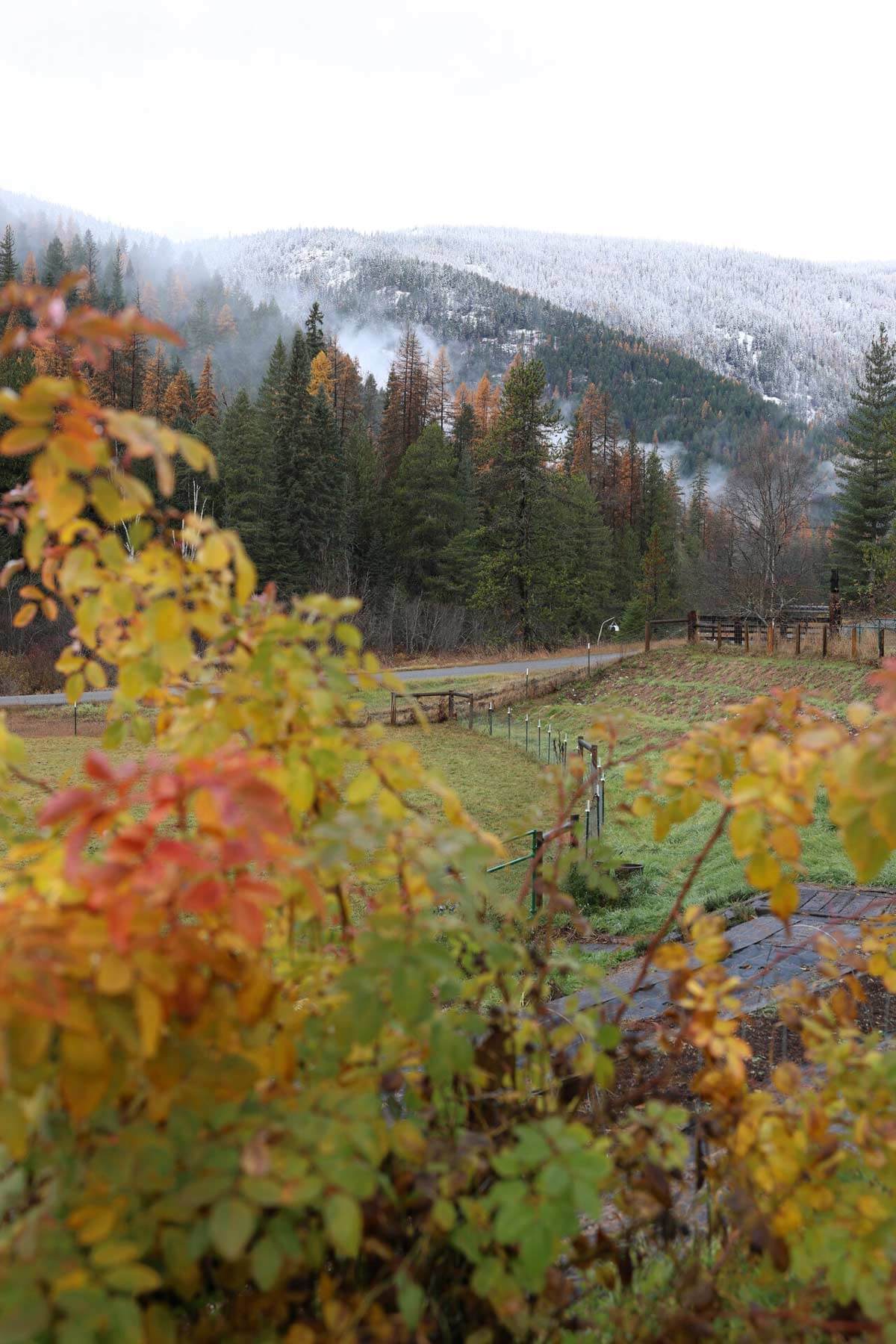 The view of a snow dusted mountain.