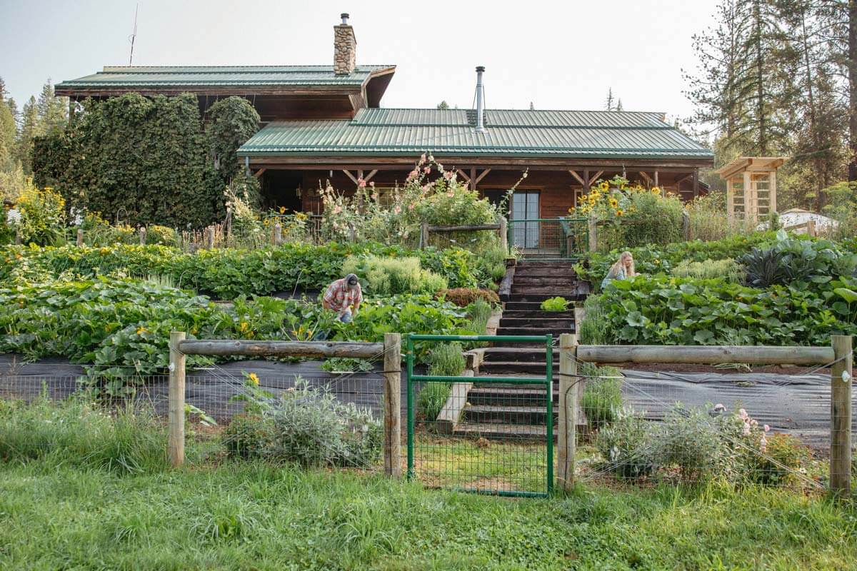 A man and woman standing in a garden.