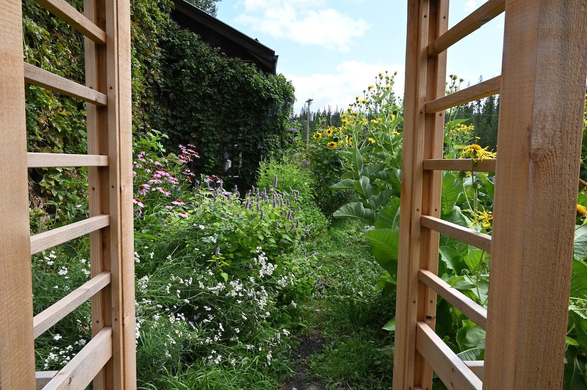 Cottage garden with arbor