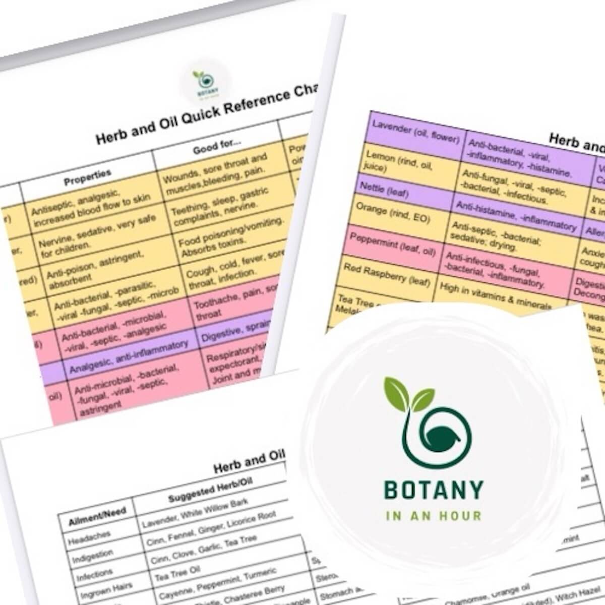 Chart of different herbs and oils to use as home remedies