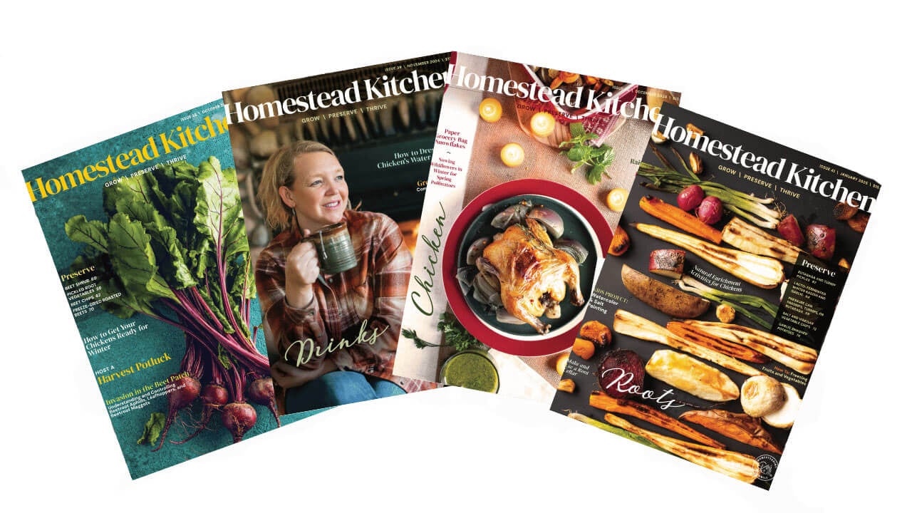 Magazine covers for In the Homestead Kitchen Magazine.