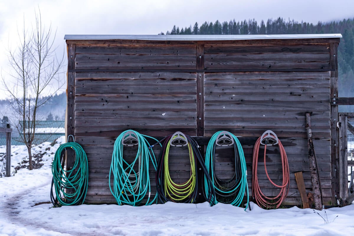 Hoses curled and hung up on the outside of a shed.