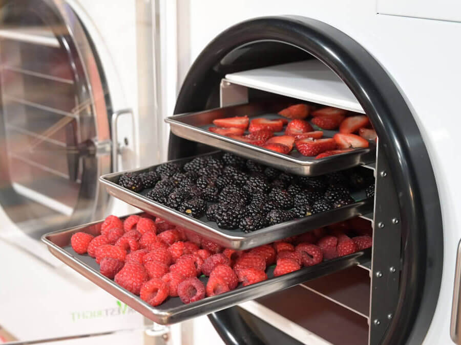 Trays of fresh berries in a Harvest Right freeze dryer.
