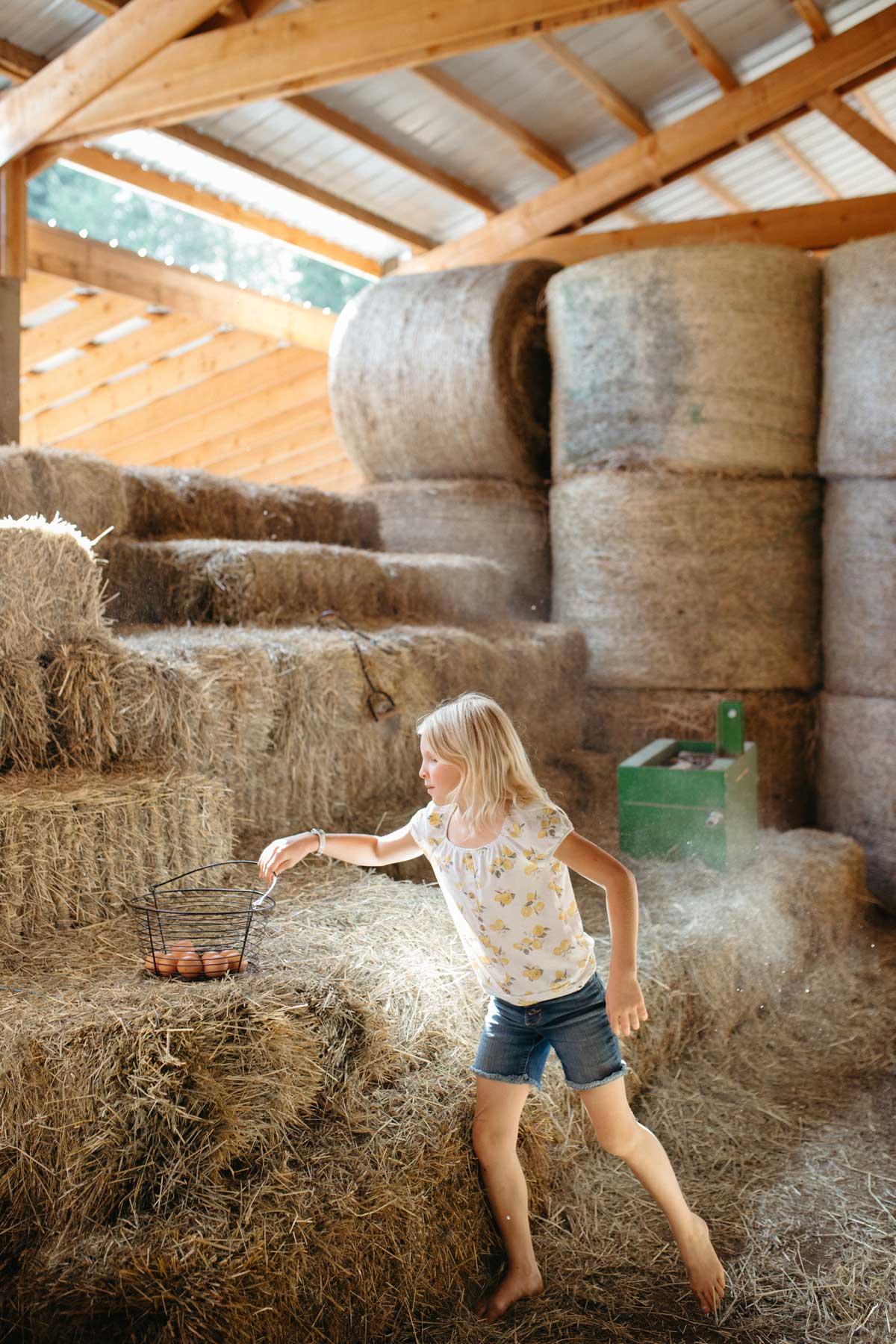 A young girl collecting eggs in a barn.