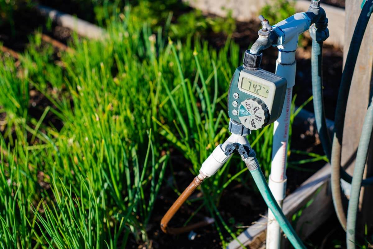 Garden water timer on a hose.