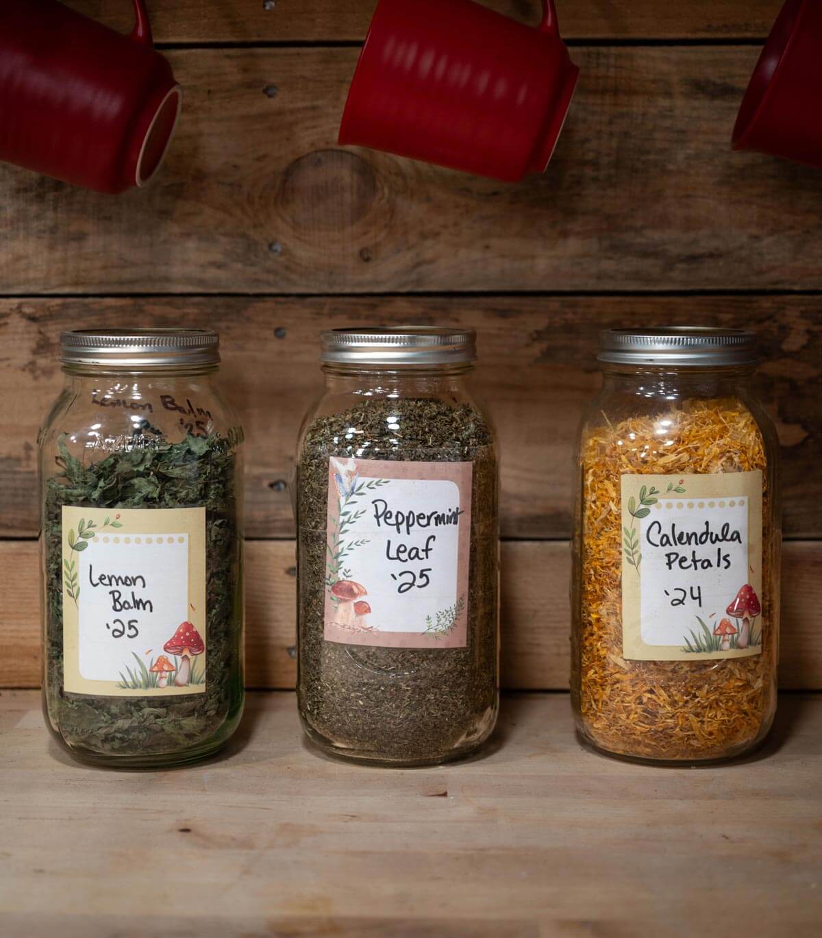 Three herbs in jars with labels. 