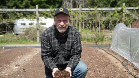 A man holding a handful of compost in the garden.